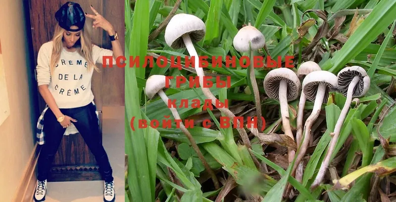 Псилоцибиновые грибы Magic Shrooms  где можно купить   Верхнеуральск 